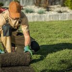 How to Find a Professional Landcaping Service in Hayden ID