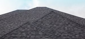 How to Find a Trusted Roof Replacement Expert in Chicago